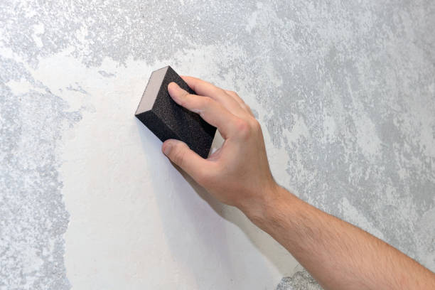  Beaver Dam, AZ Mold Removal Pros