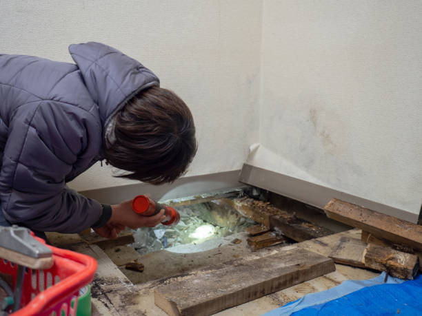 Best Mold Documentation for Insurance Claims  in Beaver Dam, AZ