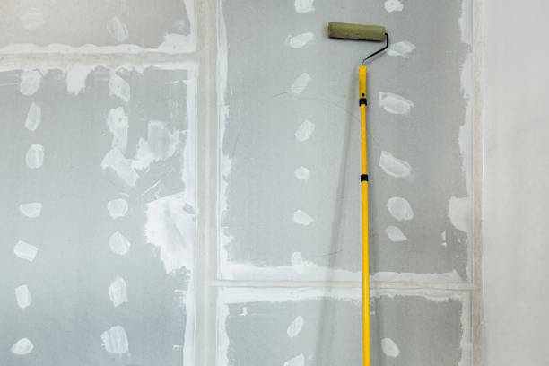 Mold Remediation for Vacation Homes in Beaver Dam, AZ