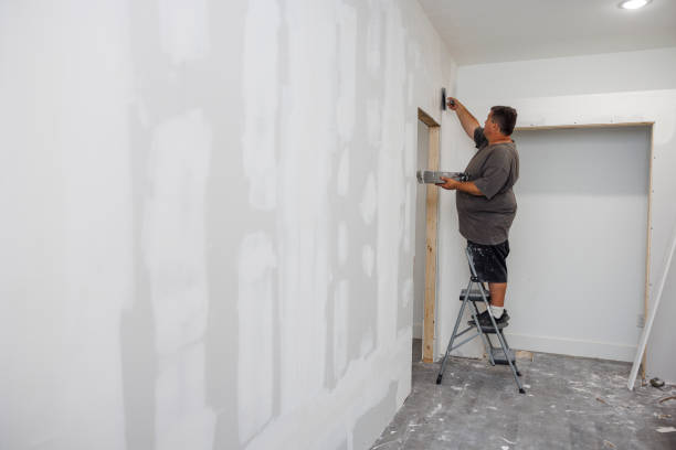 Best Mold Damage Restoration  in Beaver Dam, AZ