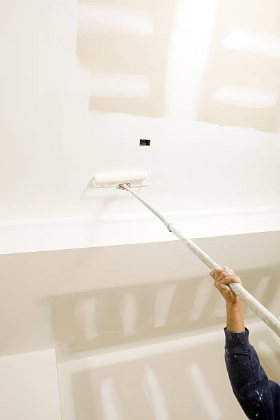 Best Mold Odor Removal Services  in Beaver Dam, AZ