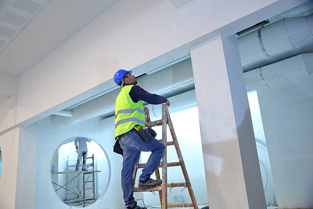Best Basement Mold Removal  in Beaver Dam, AZ